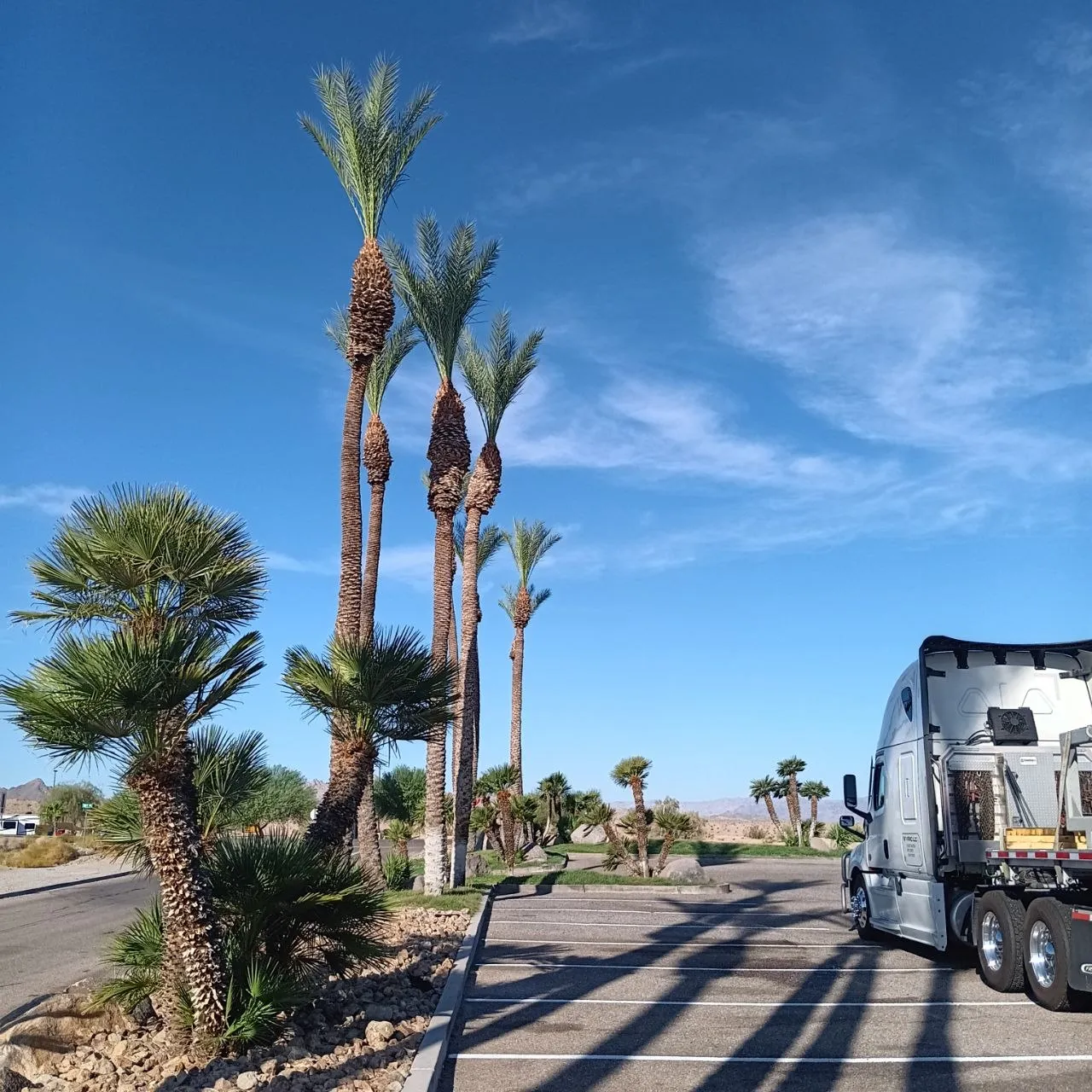 A white tractor without a trailer, parked across an empty palm-lined lot with desert hills behind.